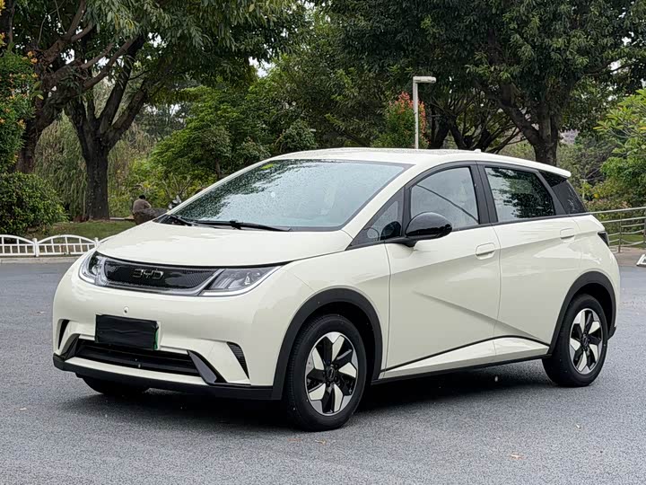 BYD Dolphin 2025 420km Free Edition