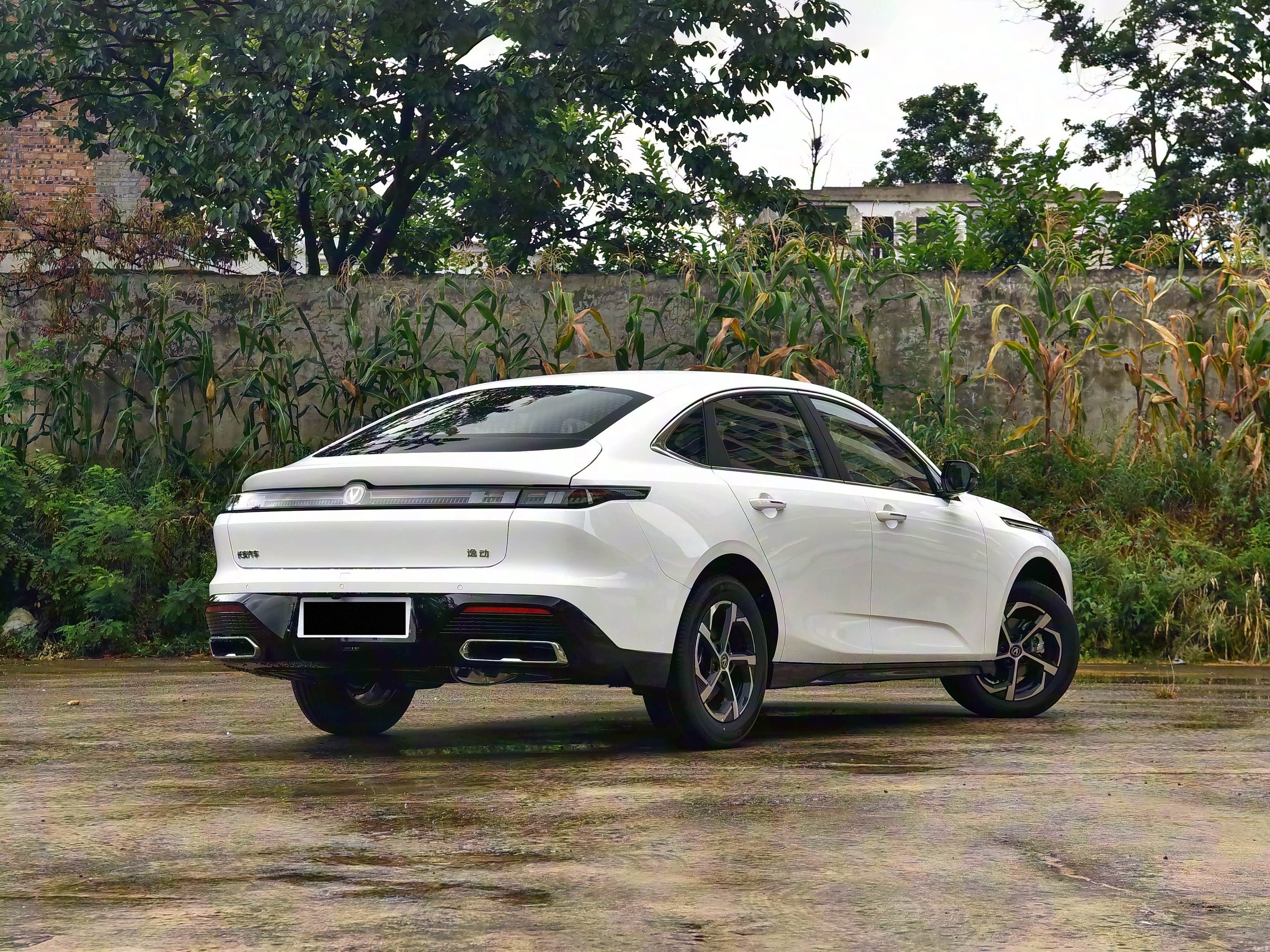 Yidong 2026 1.5T 500Bar Enjoyment Model