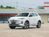 Changan CS55PLUS 2025 1.5T 500Bar Excellence Model
