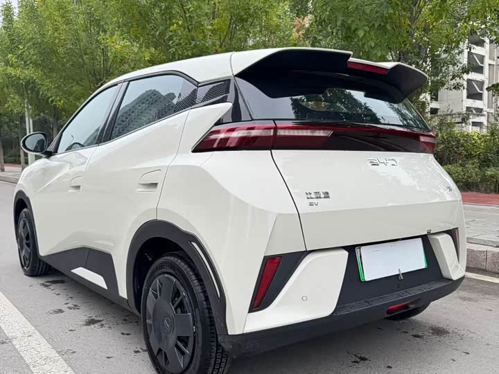 BYD Seagull 2025 305km Vitality Edition