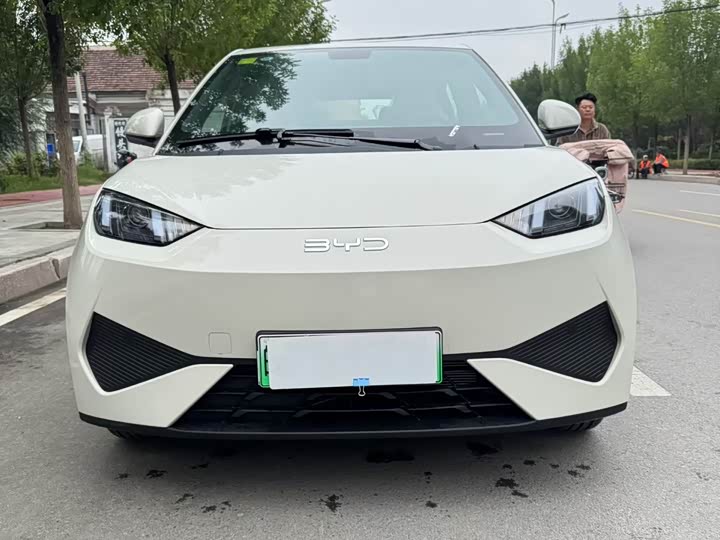 BYD Seagull 2025 305km Vitality Edition