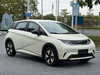 BYD Dolphin 2025 420km Free Edition