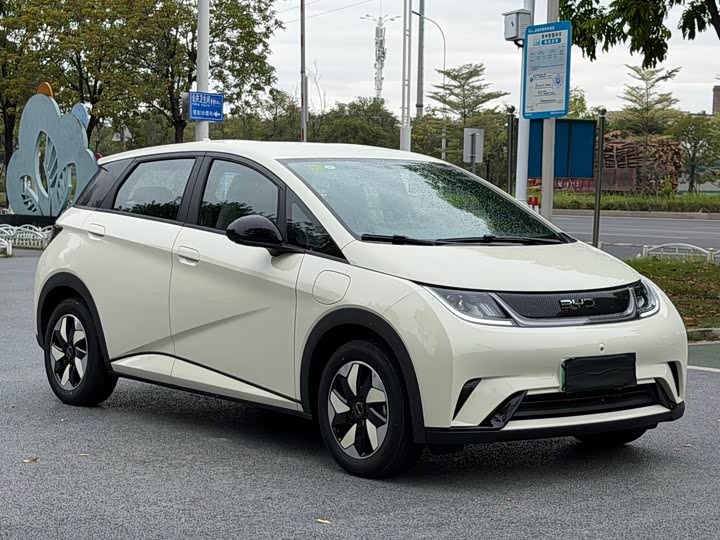 BYD Dolphin 2025 420km Free Edition