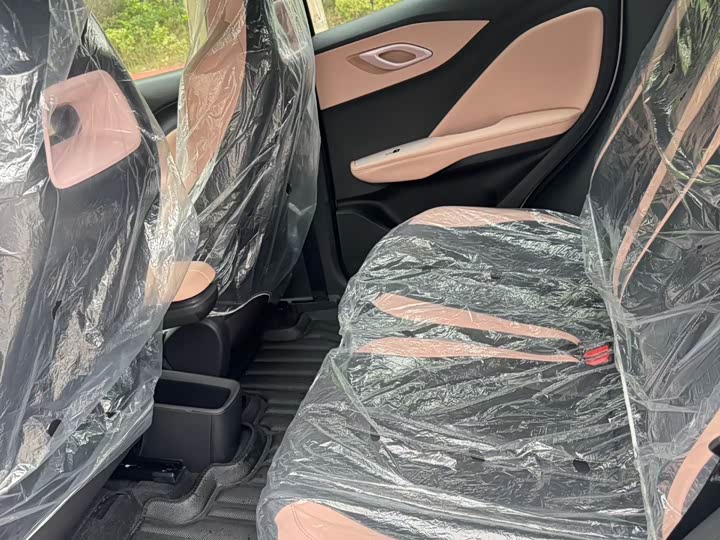 BYD Seagull 2025 305km Vitality Edition