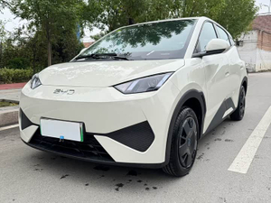 BYD Seagull 2025 305km Vitality Edition