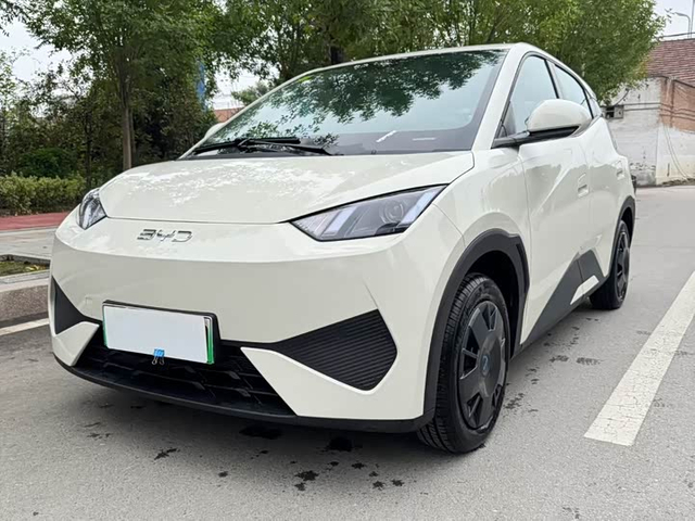 BYD Seagull 2025 305km Vitality Edition