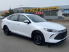BYD Qin PLUS 2025 DM-i Intelligent Driving Edition 55KM Leading Type