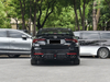 Shadow Leopard 2025 270T DCT Shadow Leopard R-Style Ultimate Edition