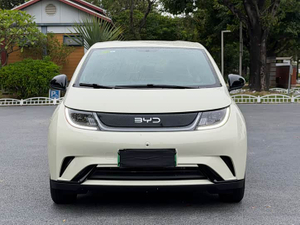 BYD Dolphin 2025 420km Free Edition
