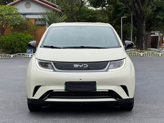 BYD Dolphin 2025 420km Free Edition