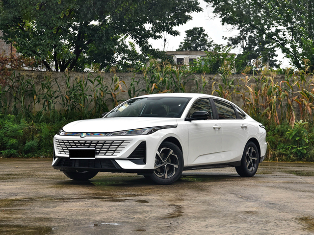 Yidong 2026 1.5T 500Bar Enjoyment Model