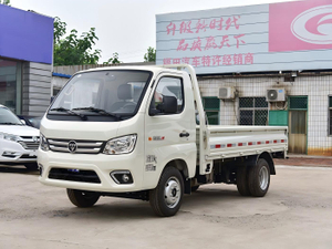 Futian 2025 Xiangling TM Micro Card Transport Vehicle