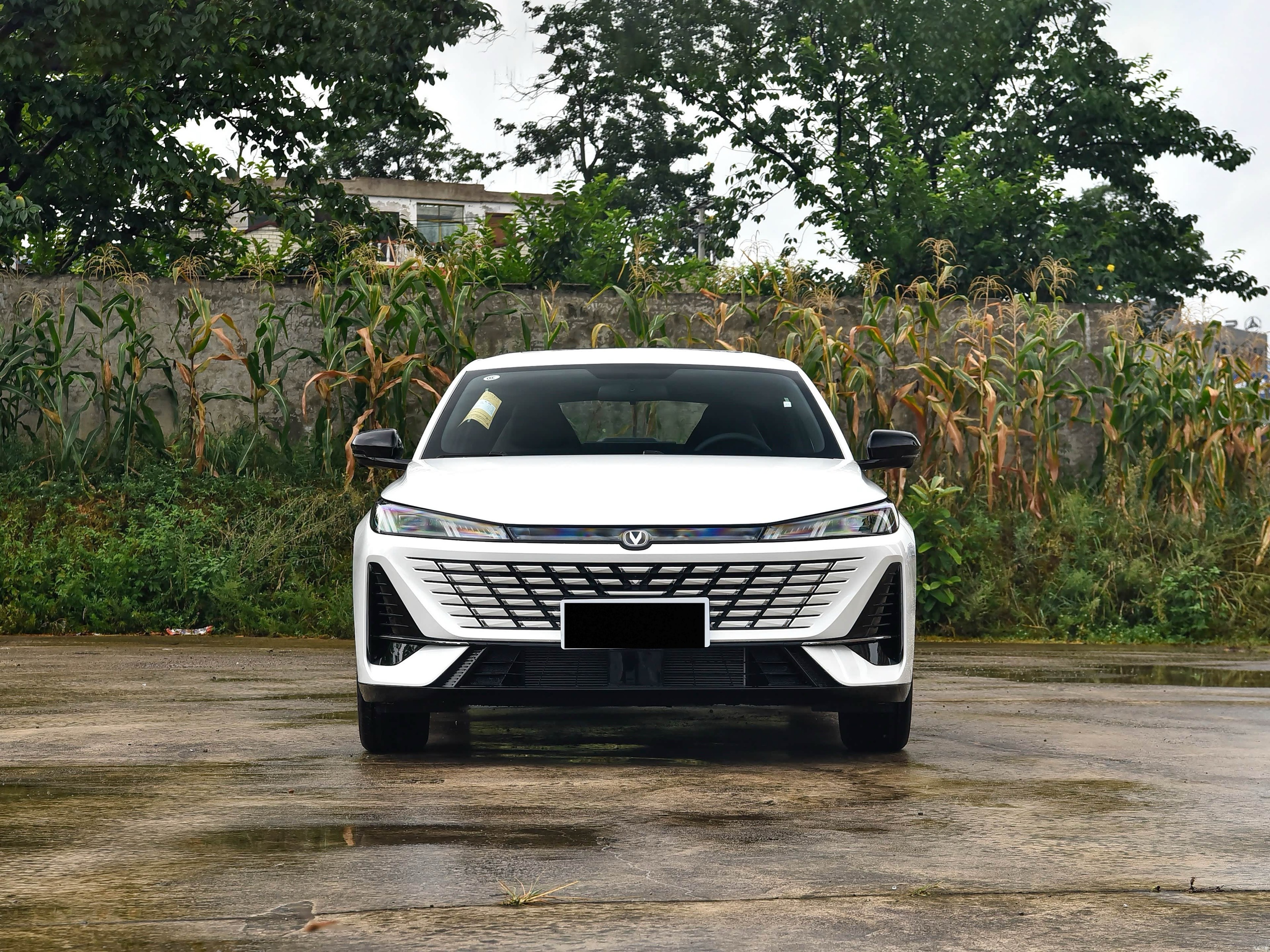 Yidong 2026 1.5T 500Bar Enjoyment Model