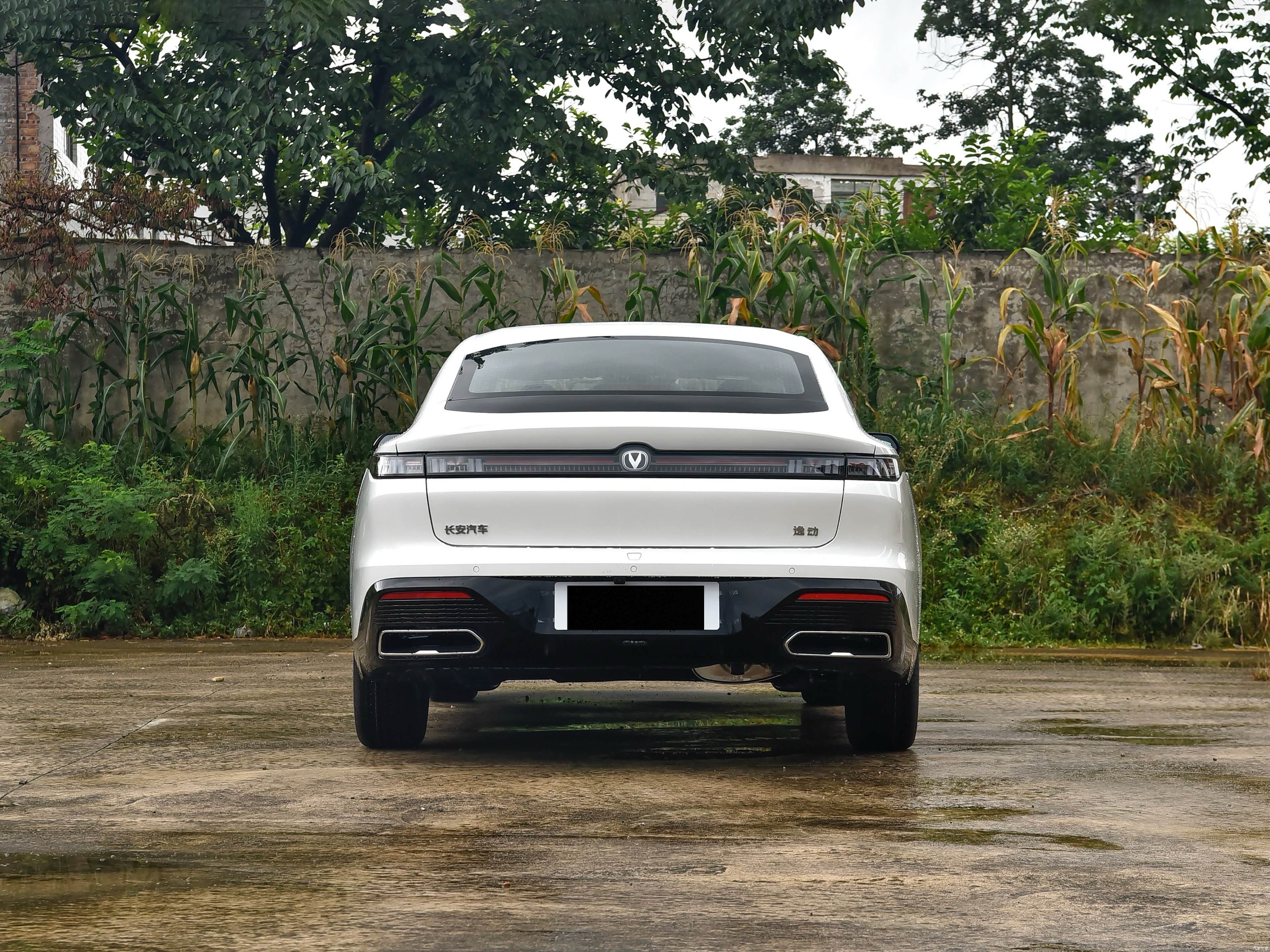Yidong 2026 1.5T 500Bar Enjoyment Model
